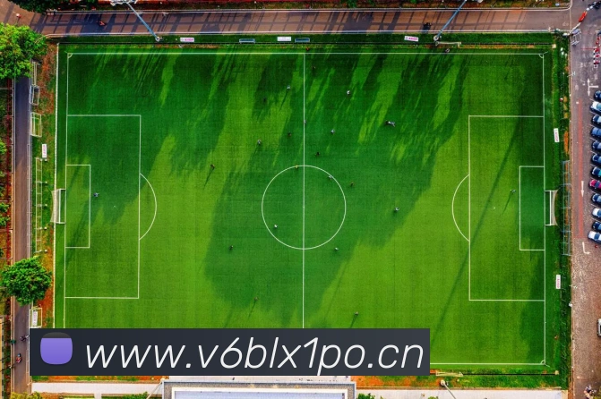 乐鱼官网入口首页APP 封面图